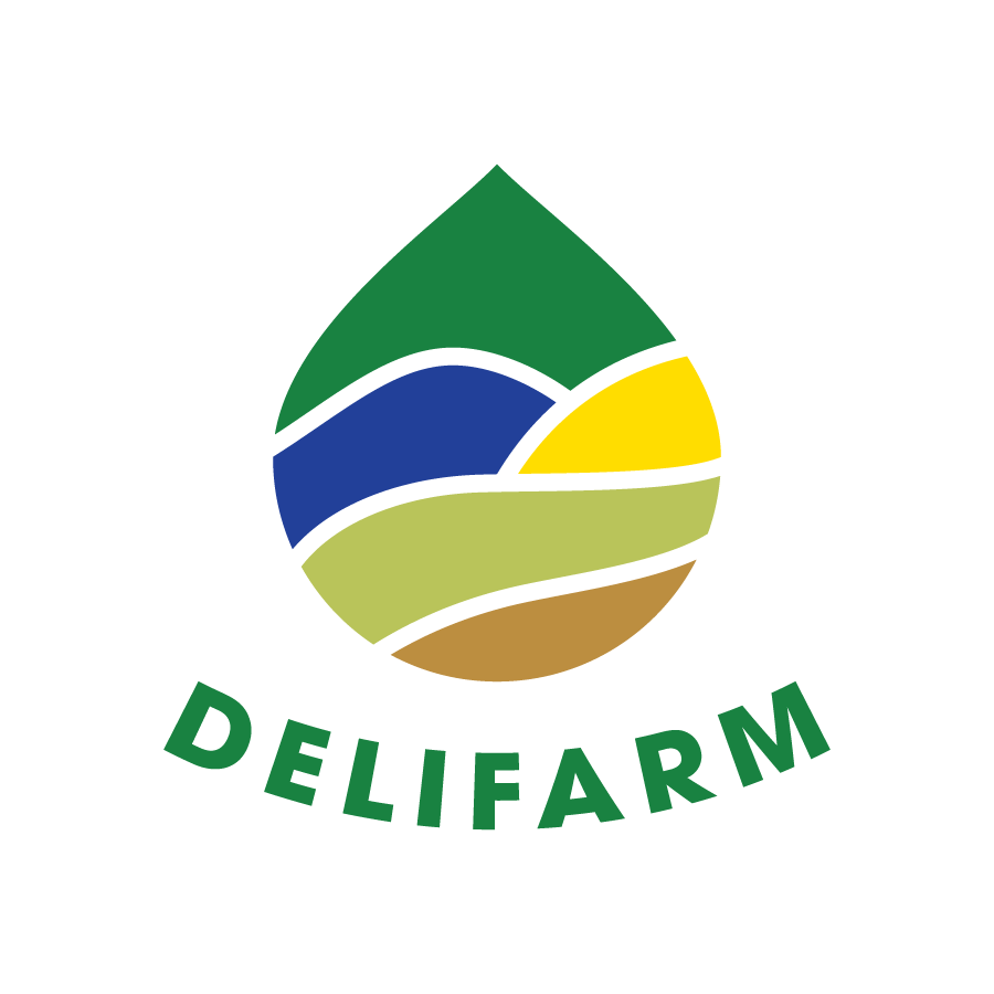 Company Banner